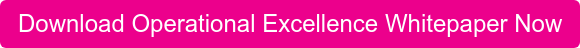 Download Operational Excellence Whitepaper Now