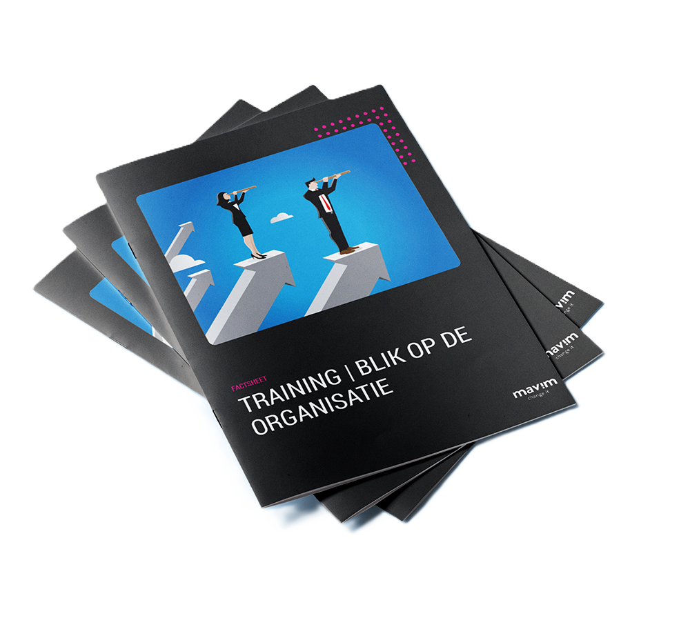 Factsheet Training Blik op de organisatie - cover Factsheet Training Blik op de organisatie - cover