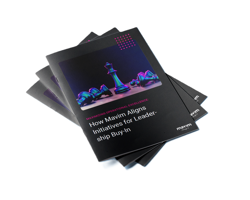 WP - Hoe Mavim initiatieven afstemt op leiderschap - download img